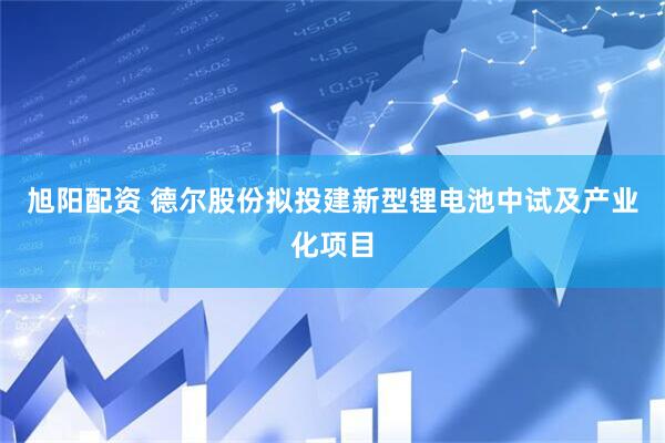 旭阳配资 德尔股份拟投建新型锂电池中试及产业化项目