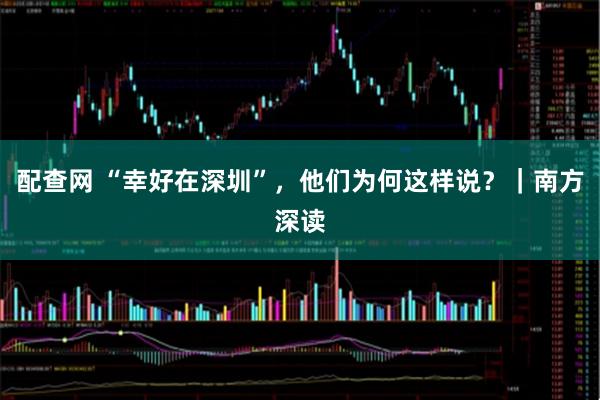 配查网 “幸好在深圳”，他们为何这样说？｜南方深读