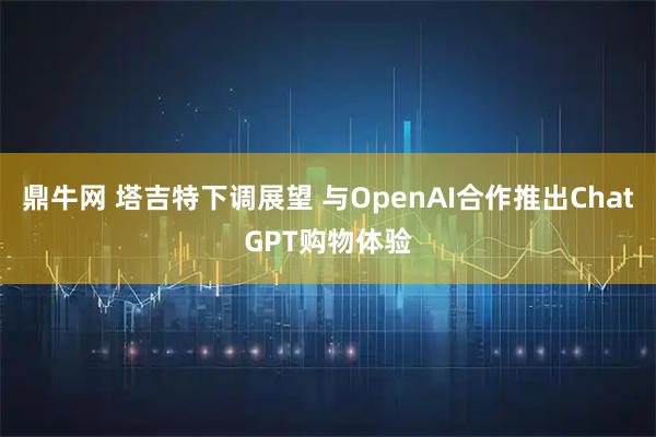 鼎牛网 塔吉特下调展望 与OpenAI合作推出ChatGPT购物体验