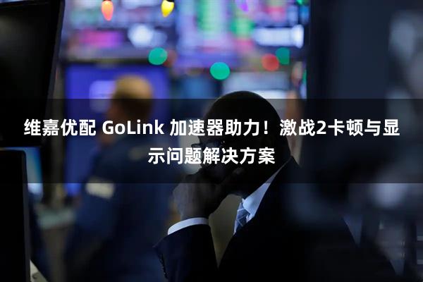 维嘉优配 GoLink 加速器助力！激战2卡顿与显示问题解决方案