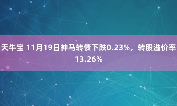 天牛宝 11月19日神马转债下跌0.23%，转股溢价率13.26%