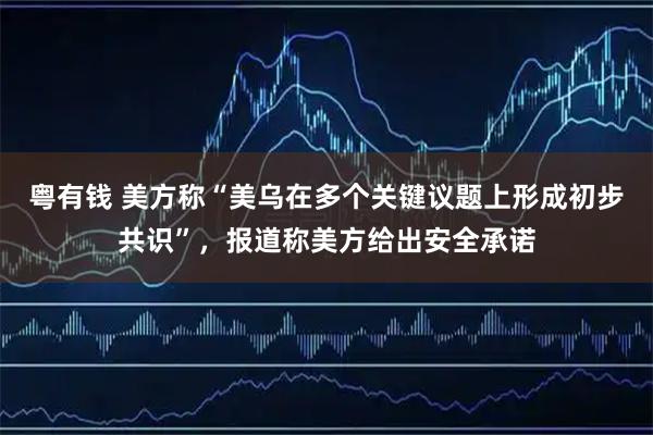 粤有钱 美方称“美乌在多个关键议题上形成初步共识”，报道称美方给出安全承诺